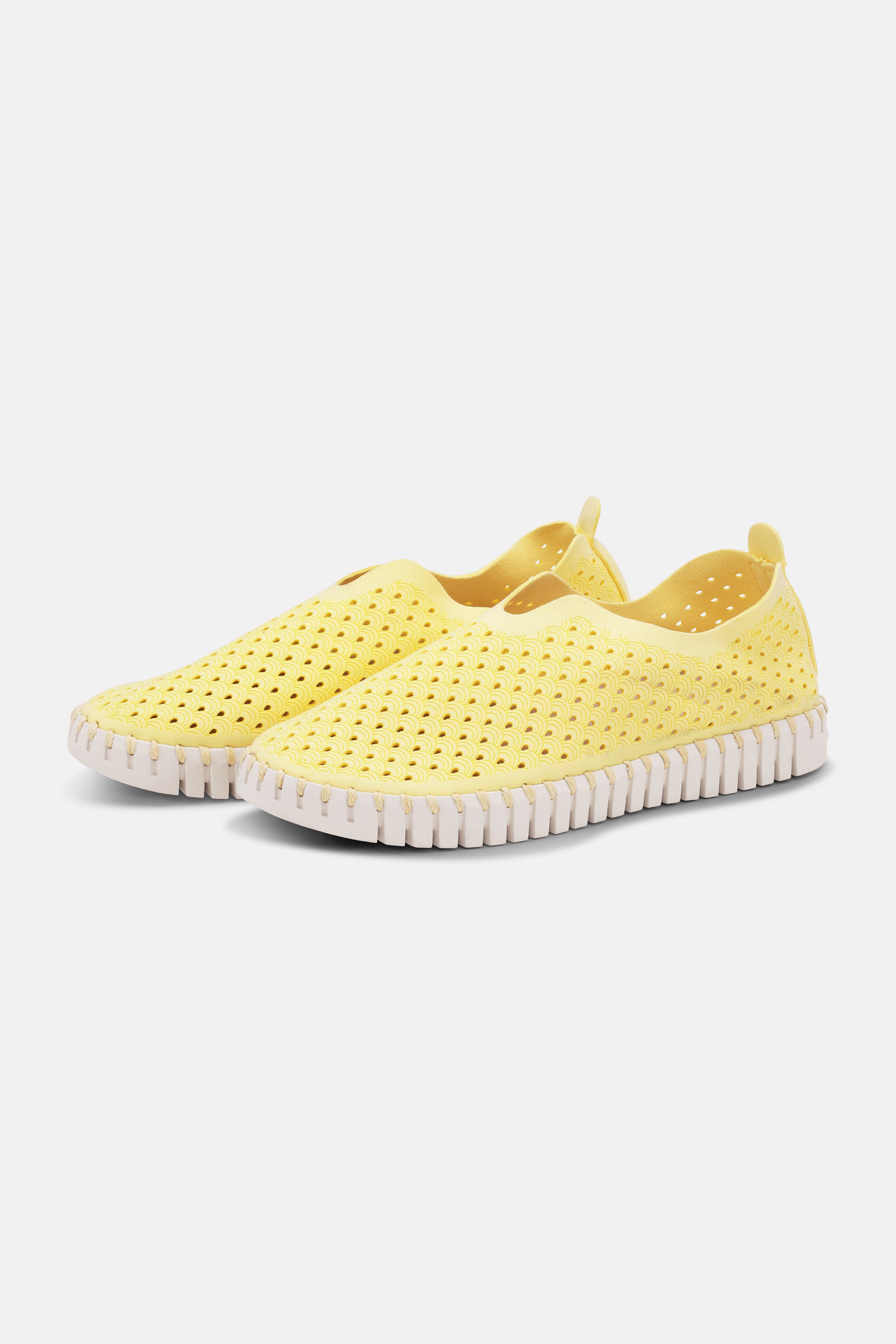 Tulip Slipper - Lemon Drop